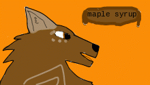 gift for maple syrup