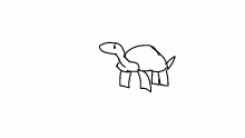 tortle