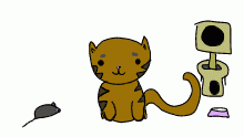 mr.cat