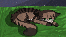 A striped cat