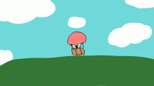 hot air balloon