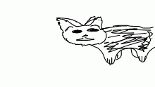 30 second cat
