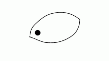 Eye see you