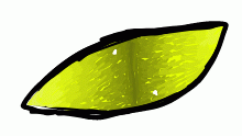 An random eye