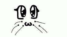 lil cat