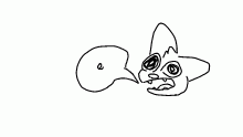 does anyone wanna chat or something