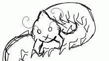Mirad doodle
