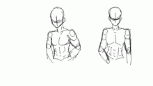 male anatomy practice