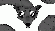 L o n g D o g