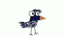 jj the birb