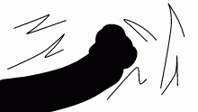 hand ponch