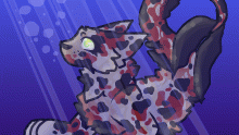 •Koi Fish Cat•