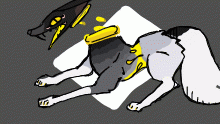 doggo dingo