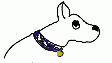 TRIIPPY SCOOBY