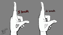 5 brush vs 2 brush