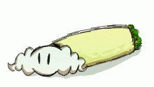 Rotor as a burrito