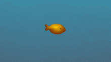 The Golden Fish