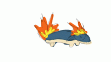boinky spunge