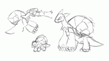 Badass turtle