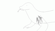 The Komodo Dragon Gang