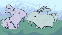 bunnies