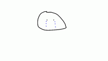 Ima sad Boyo
