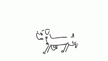 Dog walking cycle