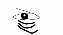 eye