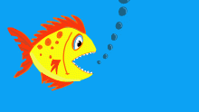 Yellow fish
