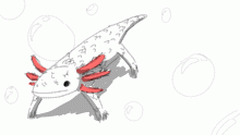 Demented Salty Axolotl.