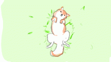 (。・ω・。)