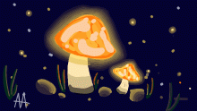 bio shrooms