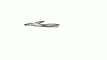 petry flies