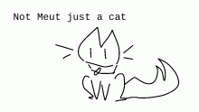 not Meut just a simple cat :3