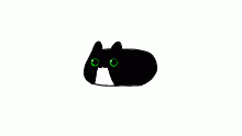 maxwell the cat :D