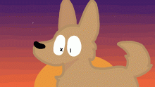 Dog at sunset
