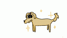 magic doggo