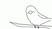 borb doodle