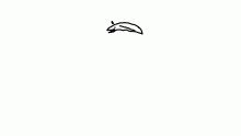 add an eel