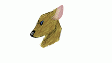 Sketchy deer
