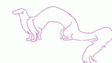 A new dragon.
