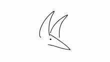 h