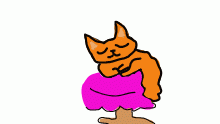 The cat