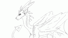 random derg
