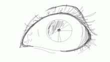 eyeball