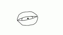 eye