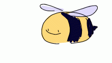 bee boys