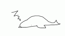 shhh whales sleeping