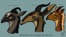 species contest (info in desc)