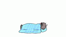 I got the flu